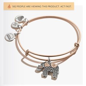 Alex and Ani 🐘 bracelet